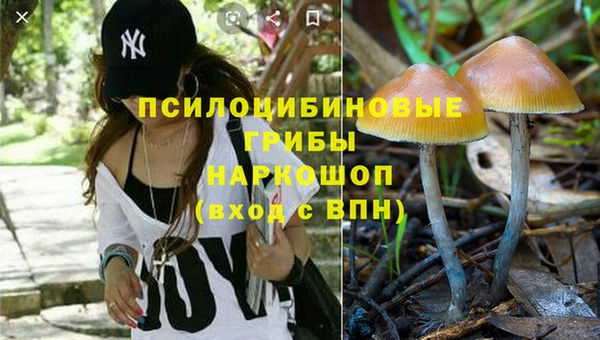 ПСИЛОЦИБИНОВЫЕ ГРИБЫ Богородицк