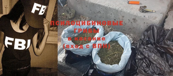 ПСИЛОЦИБИНОВЫЕ ГРИБЫ Богородицк