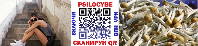 Галлюциногенные грибы MAGIC MUSHROOMS  mega зеркало  Бугульма 