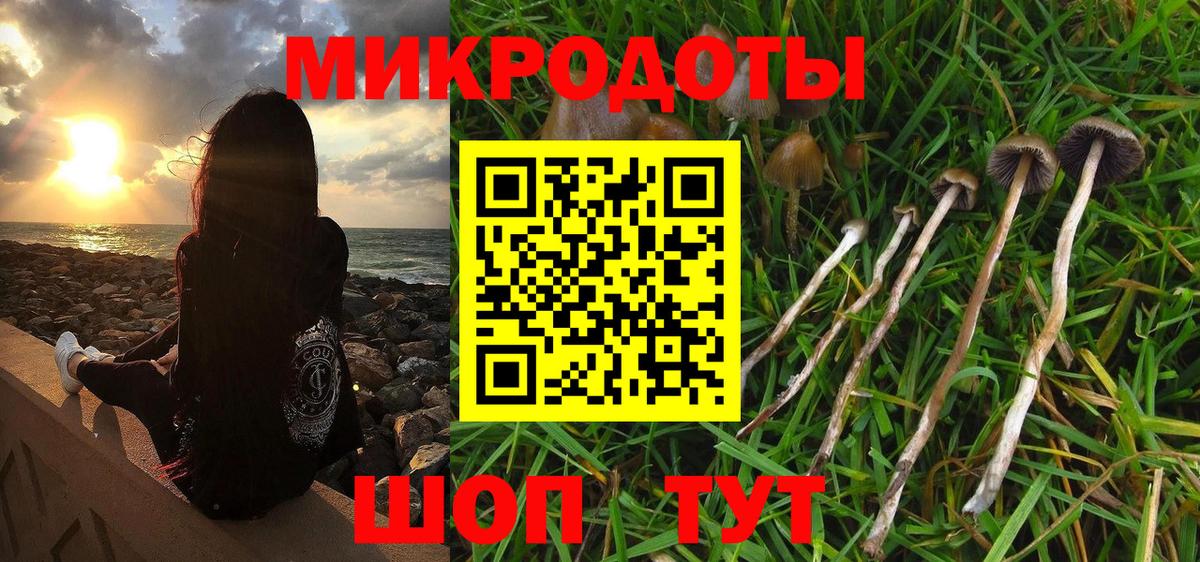 Псилоцибиновые грибы прущие грибы  Галлюциногенные грибы прущие грибы  Бугульма 